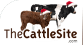 Back to TheCattleSite Home Page